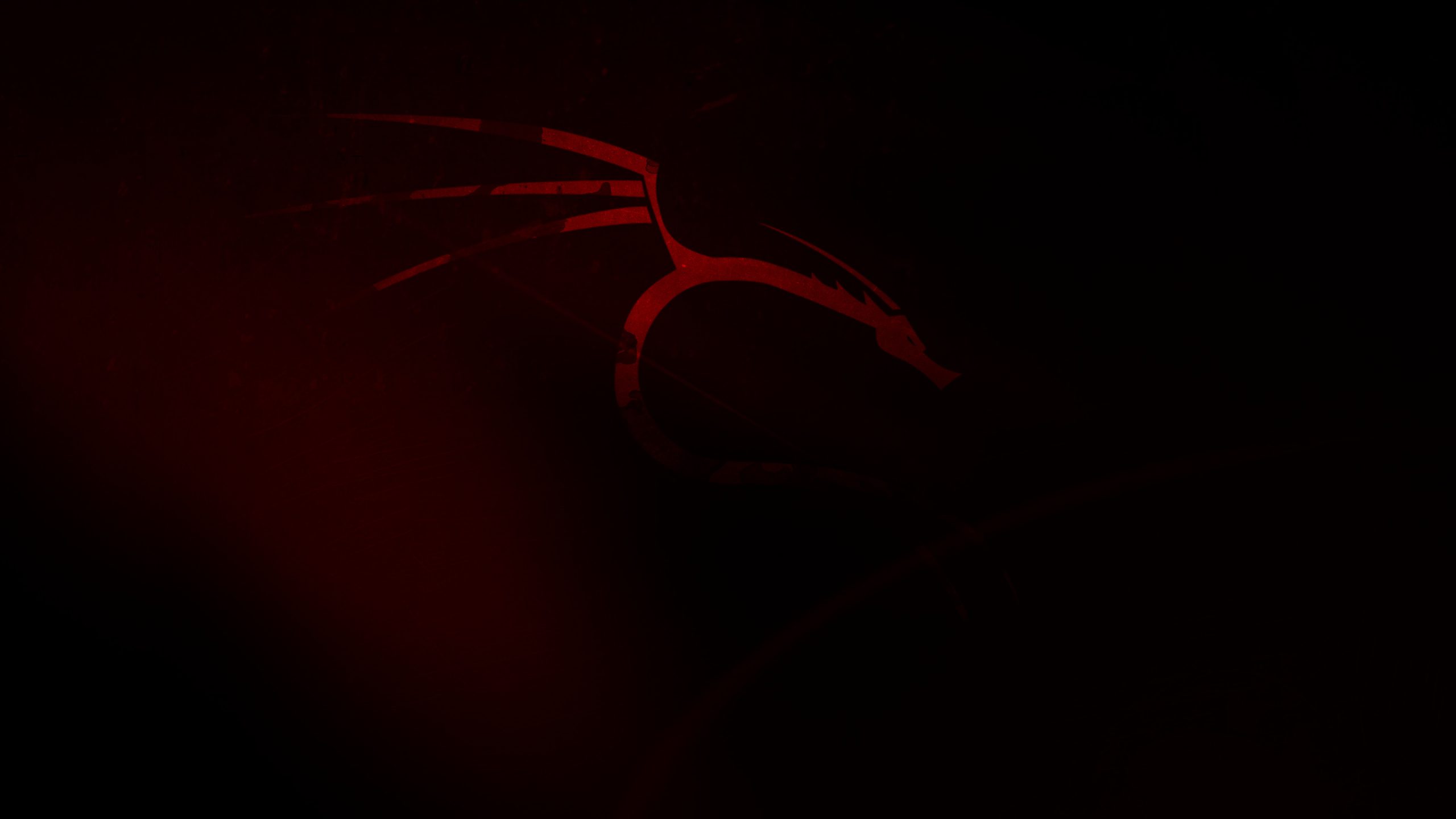 kali linux 3840x2160 18037
